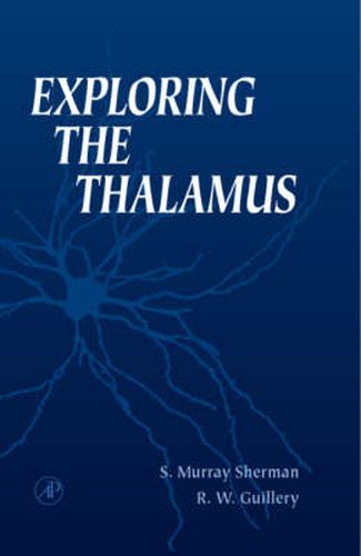 Cover image for Exploring the Thalamus