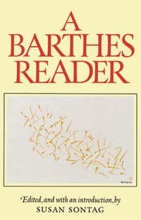 Cover image for A Barthes Reader