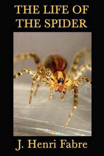 The Life of the Spider