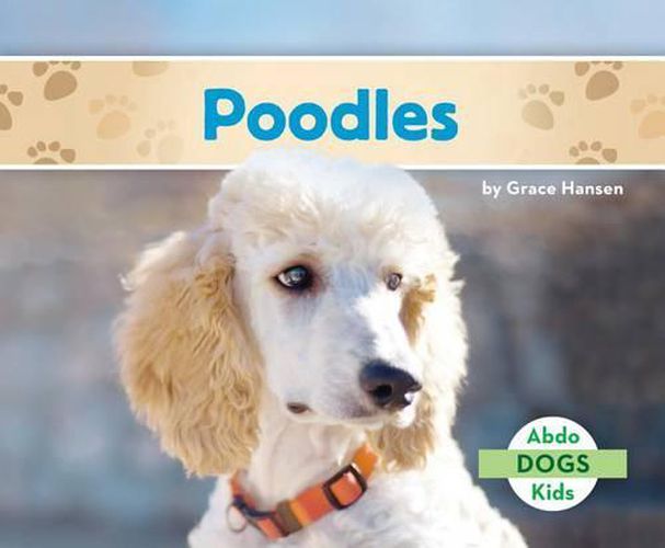 Cover image for Poodles