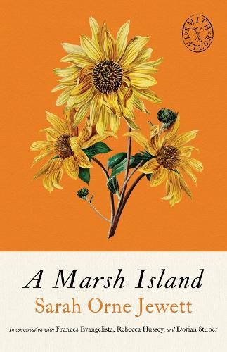 Cover image for A Marsh Island