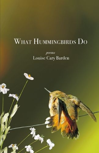 Cover image for What Hummingbirds Do