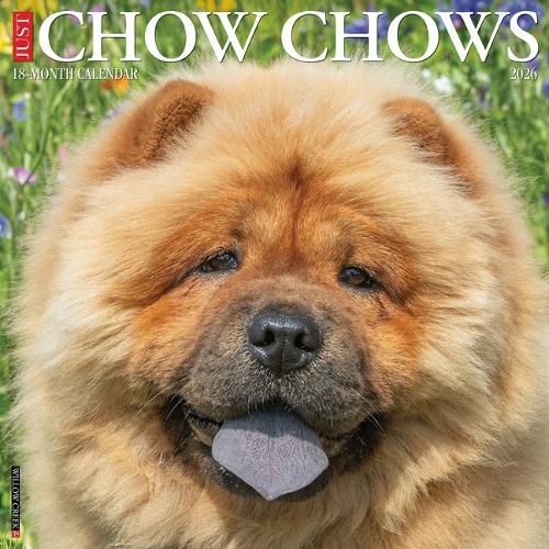 Cover image for Chow Chows 2026 12 X 12 Wall Calendar