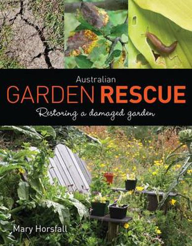 Australian Garden Rescue: Restoring a Damaged Garden