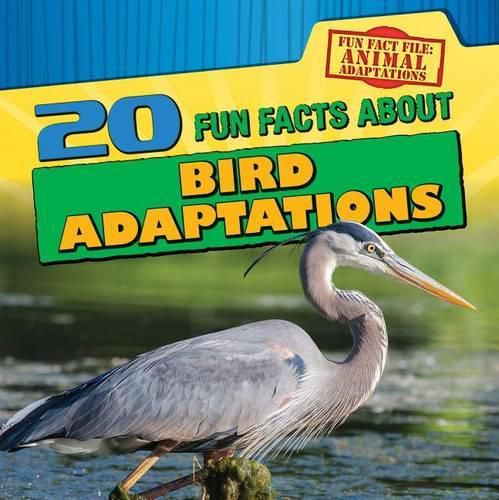 20 Fun Facts about Bird Adaptations