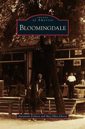 Cover image for Bloomingdale