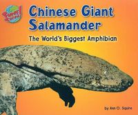 Cover image for Chinese Giant Salamander: The World's Biggest Amphibian