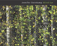 Cover image for Jennifer Steinkamp: Blind Eye