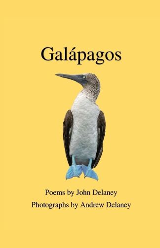 Cover image for Galapagos