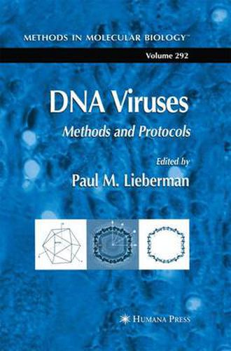 Cover image for DNA Viruses: Methods and Protocols