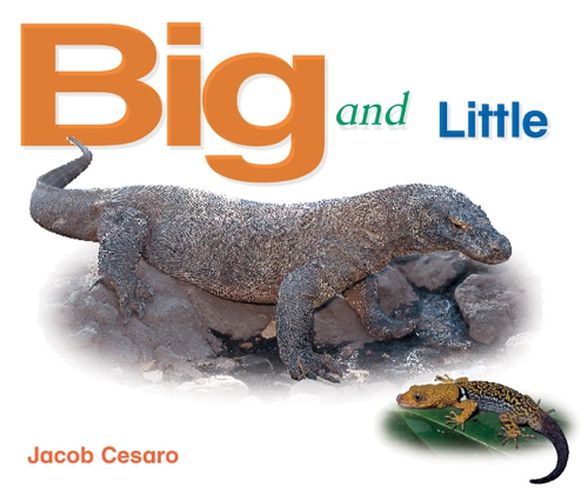 Cover image for Rigby Literacy Emergent Level 4: Big and Little (Reading Level 3/F&P Level C)