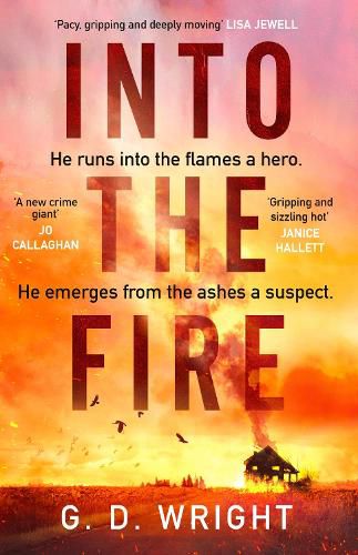 Cover image for Into the Fire