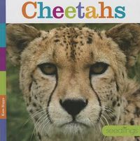 Cover image for Cheetahs