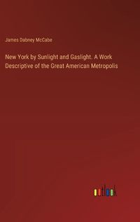 Cover image for New York by Sunlight and Gaslight. A Work Descriptive of the Great American Metropolis