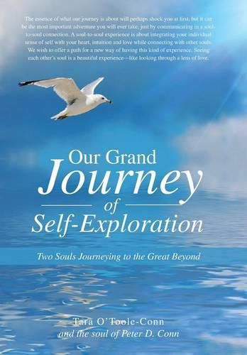 Cover image for Our Grand Journey of Self-Exploration: Two Souls Journeying to the Great Beyond