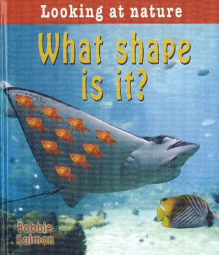 Cover image for What Shape Is It