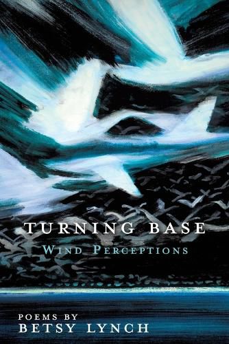 Cover image for Turning Base Wind Perceptions