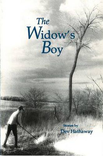 Cover image for The Widow's Boy