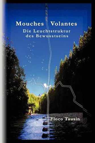 Cover image for Mouches Volantes - Die Leuchtstruktur Des Bewusstseins