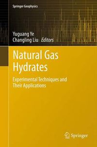 Cover image for Natural Gas Hydrates: Experimental Techniques and Their Applications