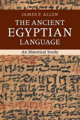 Cover image for The Ancient Egyptian Language: An Historical Study