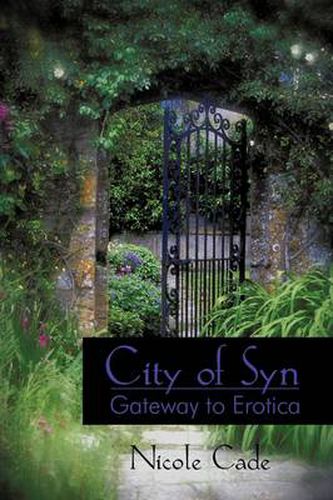 Cover image for City of Syn