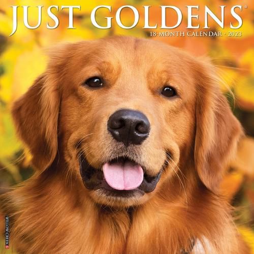 Cover image for Just Goldens 2023 Wall Calendar