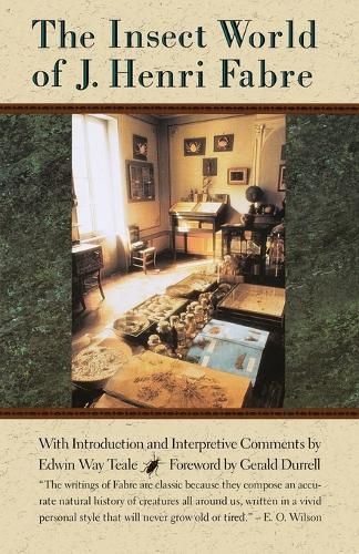 Cover image for The Insect World of J. Henri Fabre
