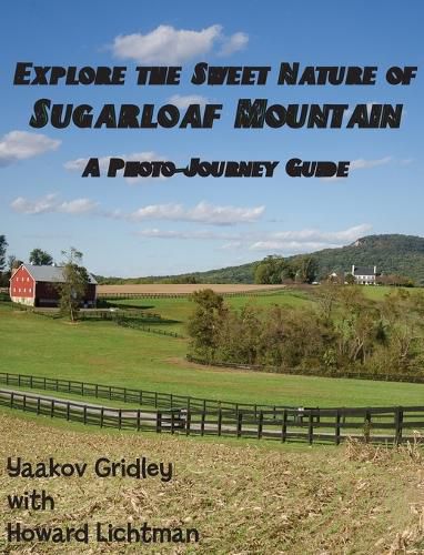 Cover image for Explore the Sweet Nature of Sugarloaf Mountain