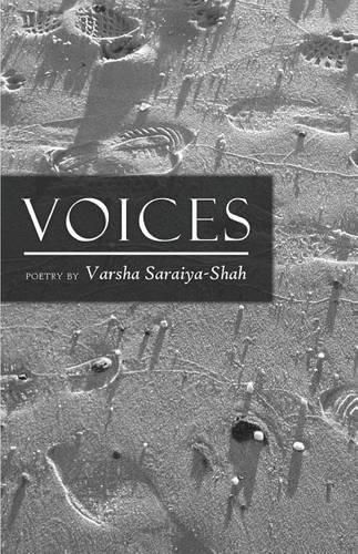 Cover image for Voices