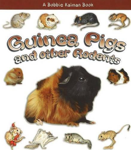 Cover image for Guinea Pigs and Other Rodents