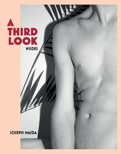 Cover image for A Third Look