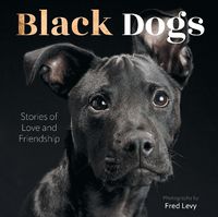 Cover image for Black Dogs