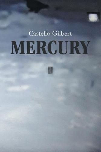 Cover image for Mercury: The Boy Who Lived