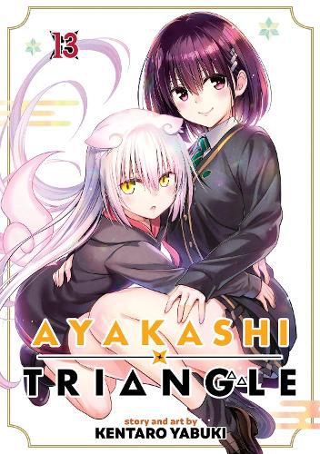 Cover image for Ayakashi Triangle Vol. 13