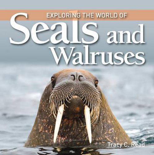 Exploring the World of Seals & Walruses