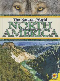 Cover image for North America