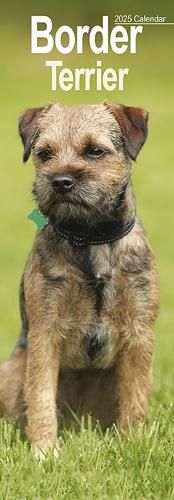 Cover image for Border Terrier Slim Calendar 2025 Dog Breed Slimline Calendar - 12 Month