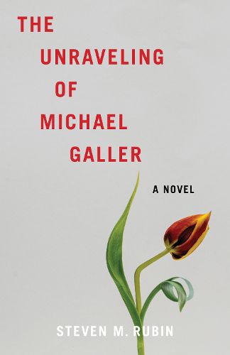 Cover image for The Unraveling of Michael Galler