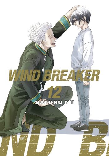 Cover image for WIND BREAKER 12