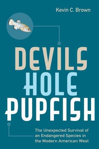 Cover image for Devils Hole Pupfish: The Unexpected Survival of an Endangered Species in the Modern American West