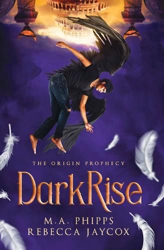 Cover image for DarkRise