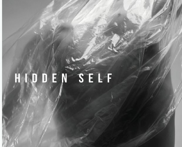 Cover image for Hidden Self