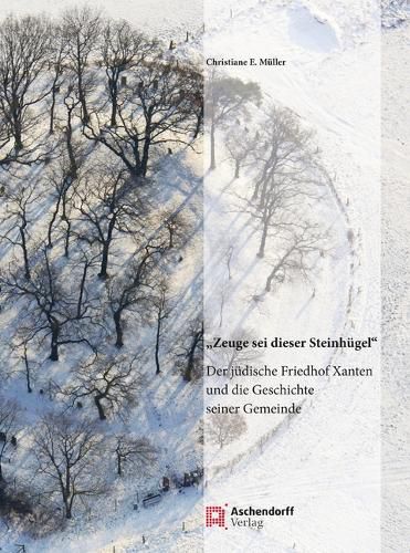 Cover image for 'Zeuge SEI Dieser Steinhugel'