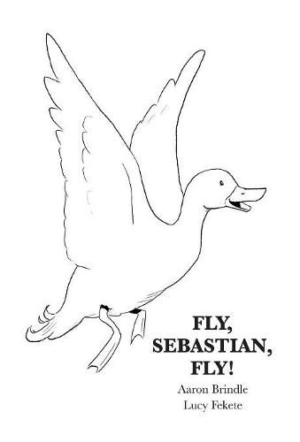 Cover image for Fly, Sebastian, Fly!