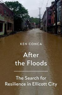 Cover image for After the Floods