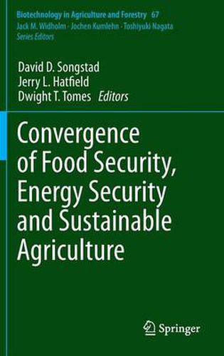 Cover image for Convergence of Food Security, Energy Security and Sustainable Agriculture