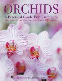Cover image for Orchids