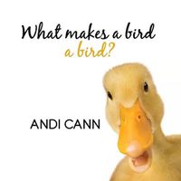 Cover image for What Makes a Bird a Bird?