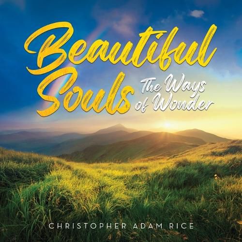 Cover image for Beautiful Souls